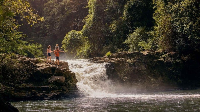 Family beside a waterfall in lush forest