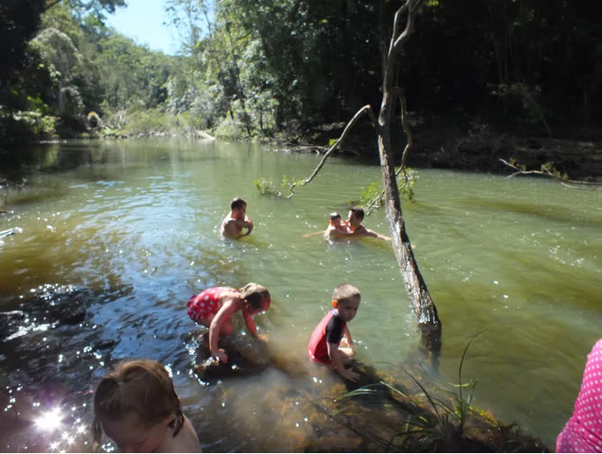 Swimming in a natural river surrounded by forest